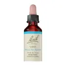 Bach Flower Remedies | Vine
