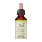 Bach Flower Remedies | White Chestnut