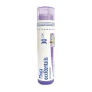 Boiron | Thuja Occidentalis 30CH Single Tube 80 Pellets