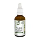 St Francis | Mullein Tincture