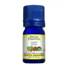 Divine Essence | Celery Seed Essential Oil