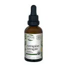 St Francis | Astragalus Tincture