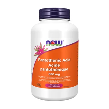 NOW | Pantothenic Acid 500mg 250 Capsules