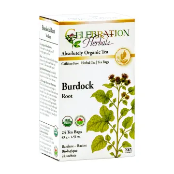 Celebration Herbals | Burdock Root Herbal Tea 24 Bags