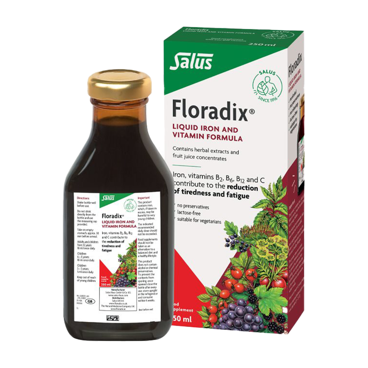 Salus | Floradix Liquid Iron 250ml