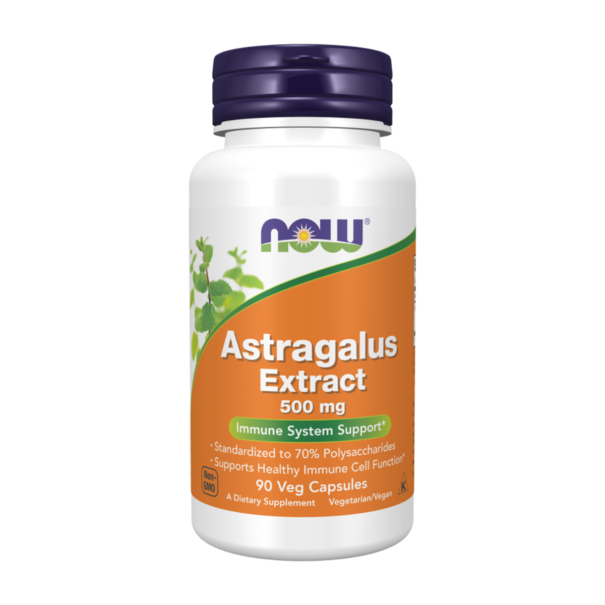 NOW | Astragalus Extract 500mg Vegetarian Capsules