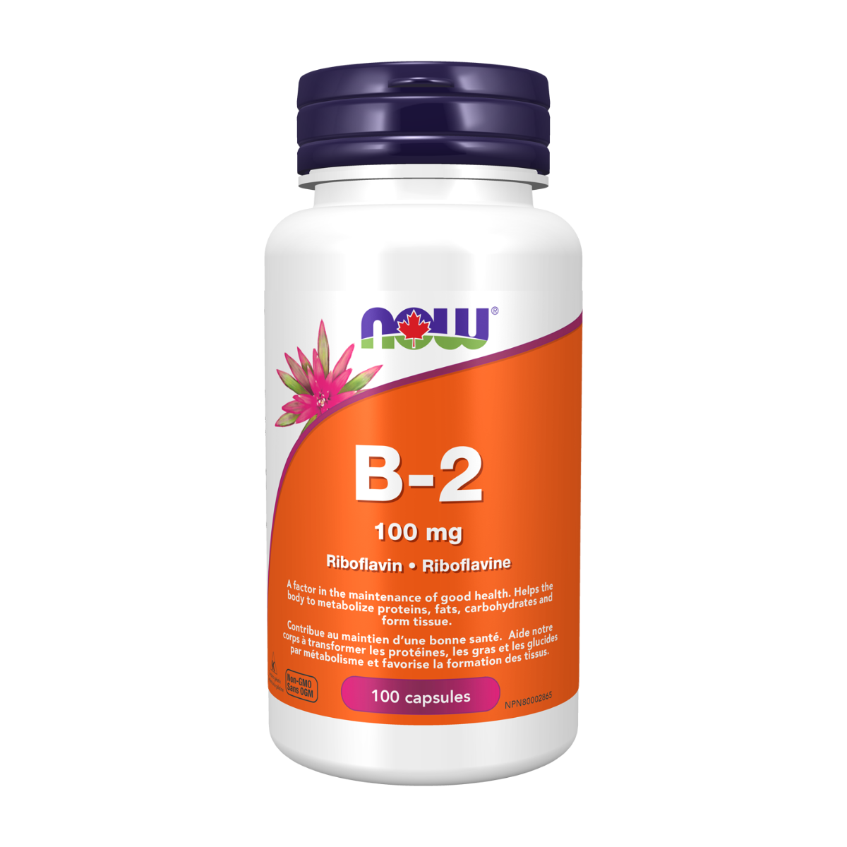 NOW | Vitamin B-2 100mg Capsules