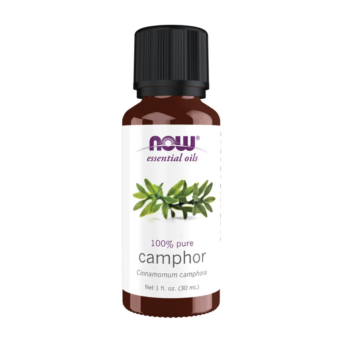 NOW | Camphor Essential Oil