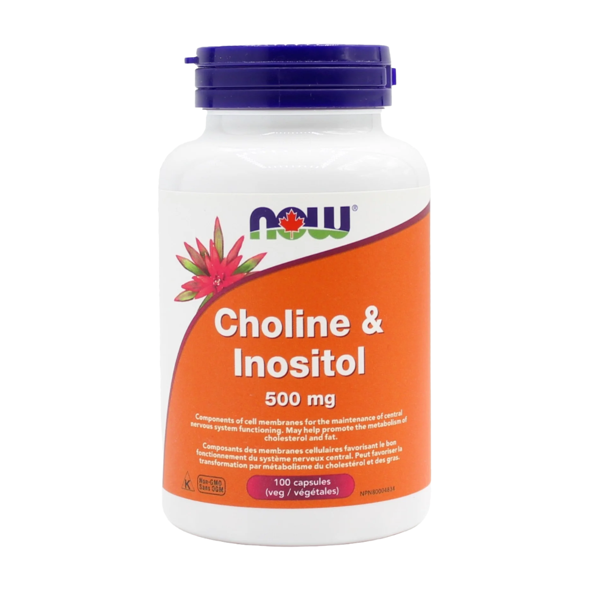 NOW | Choline & Inositol 500mg Capsules
