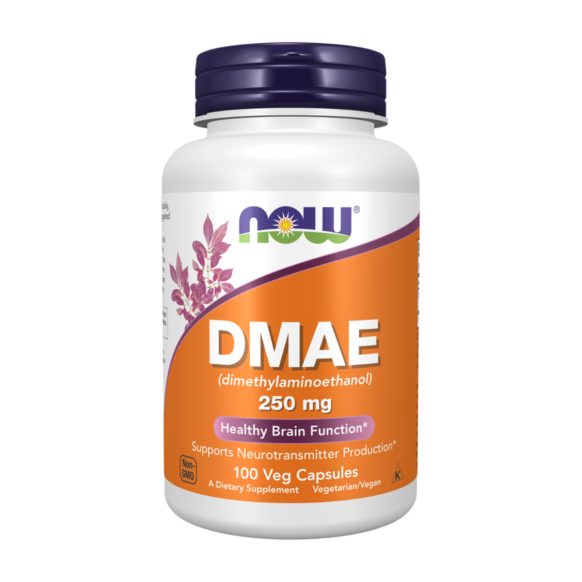 NOW | DMAE 250mg Vegetarian Capsules