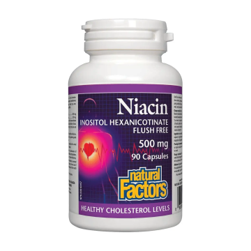 Natural Factors | Vitamin B3 500mg Niacin Flush Free Capsules