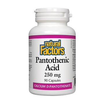 Natural Factors | Vitamin B5 (Pantothenic Acid) 250mg Capsules