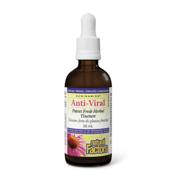 Natural Factors | Echinamide Anti-Viral Potent Fresh Herbal Tincture