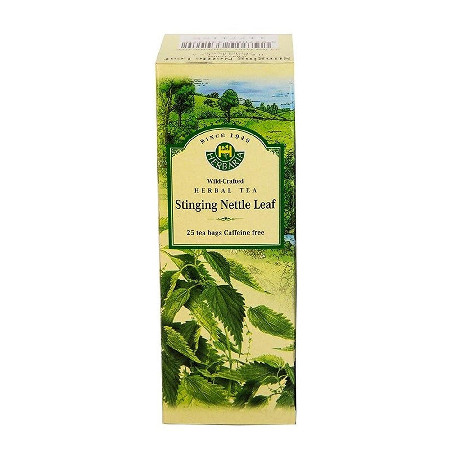 Herbaria | Stinging Nettle Tea