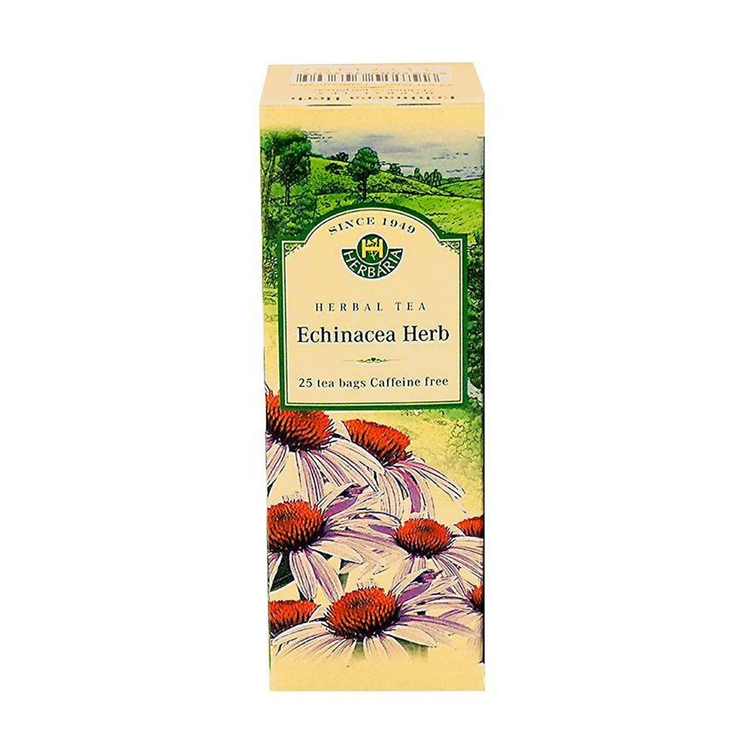 Herbaria | Echinacea Tea