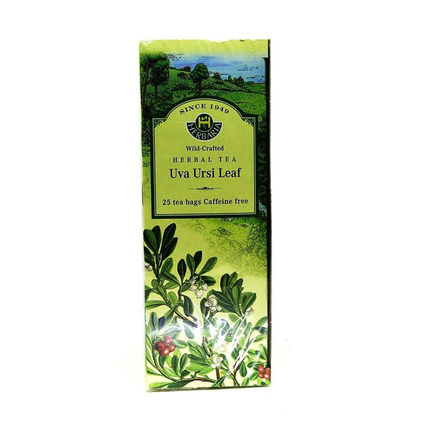 Herbaria | Uva Ursi Tea