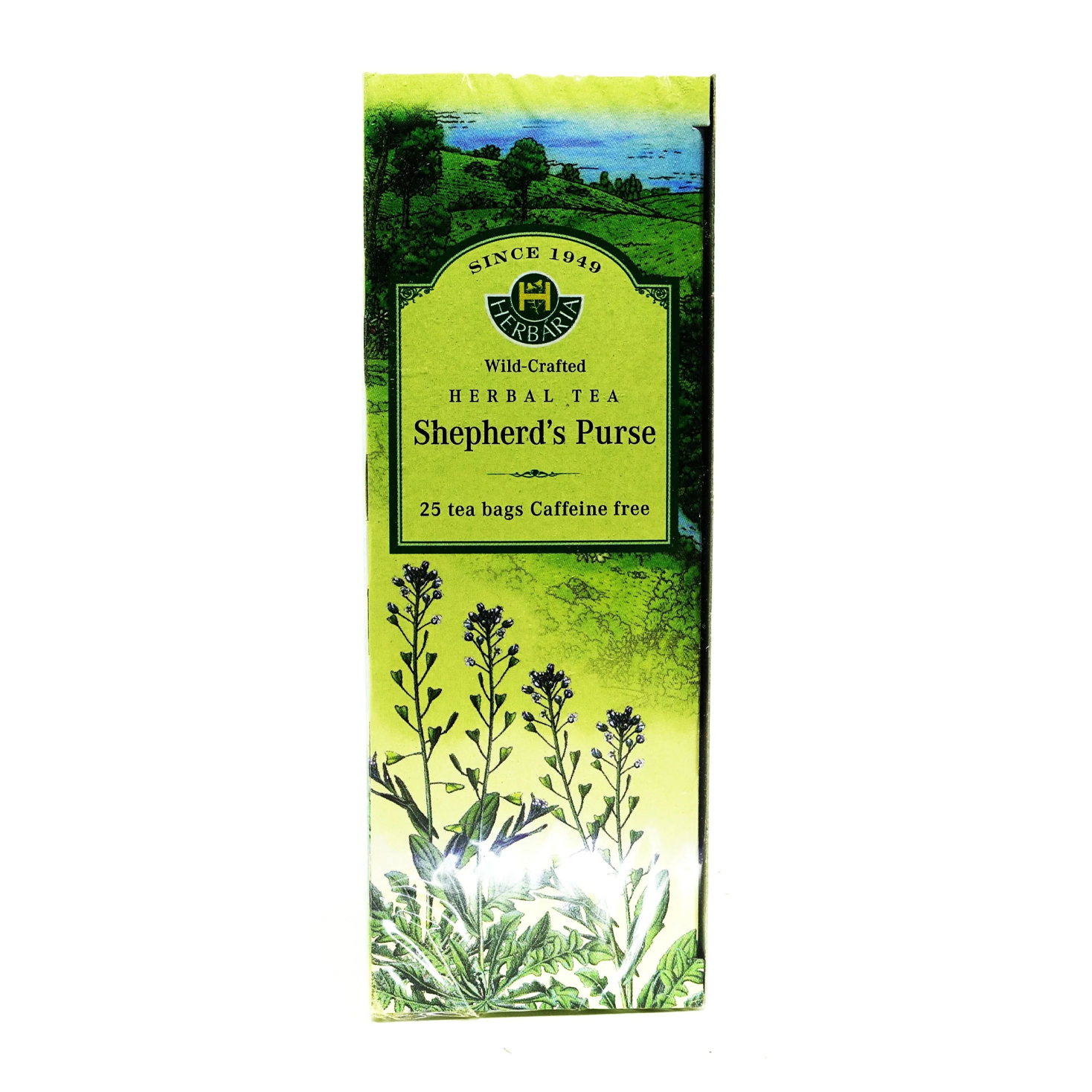 Herbaria | Shepherd's Purse Tea