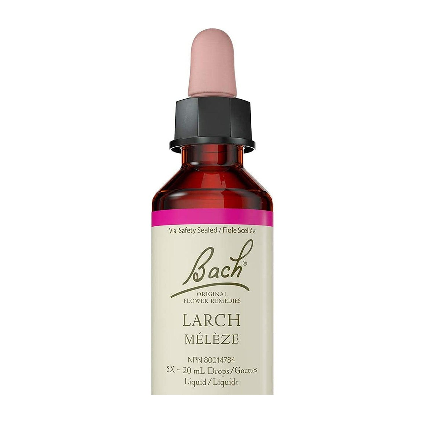 Bach Flower Remedies | Larch