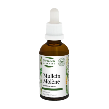 St Francis | Mullein Tincture
