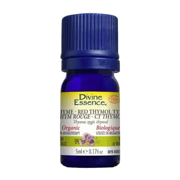 Divine Essence | Organic Thyme-Red Thymol Type Essential Oil