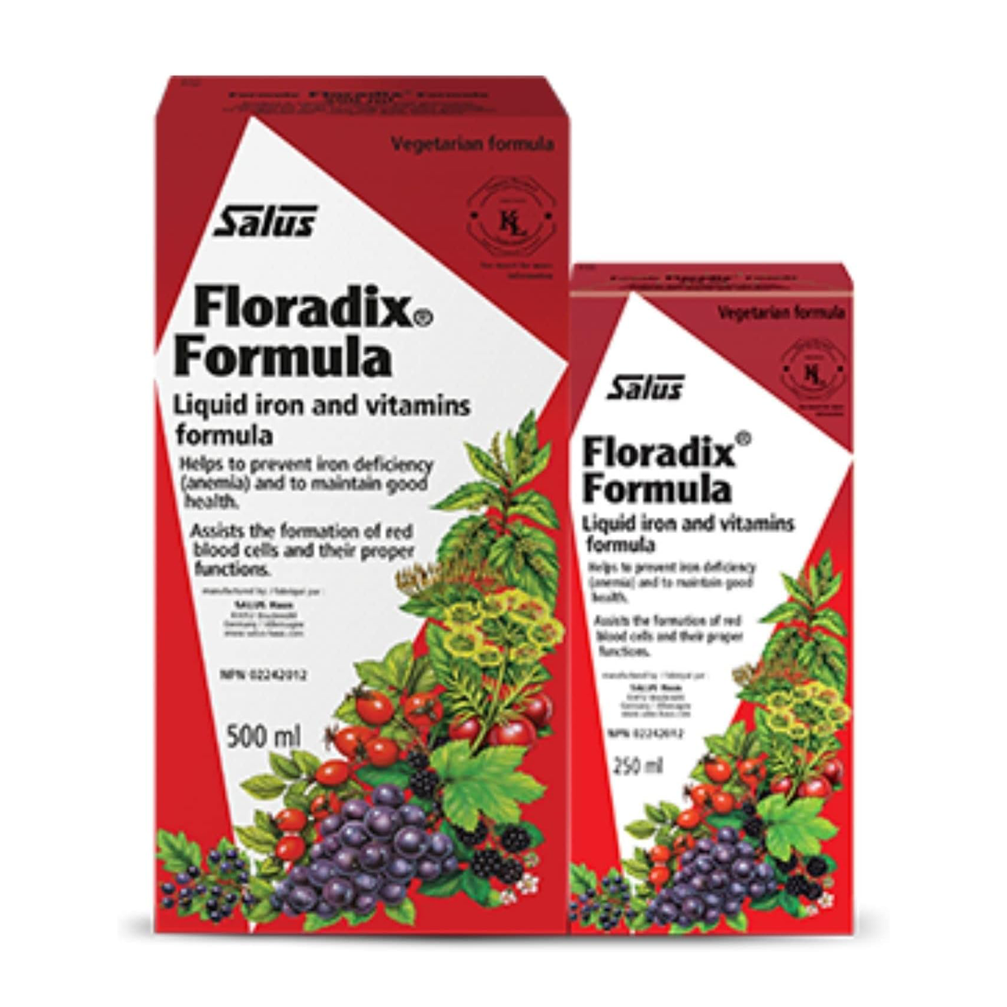 Salus | Floradix Liquid Iron Bonus Pack 500ml+200ml
