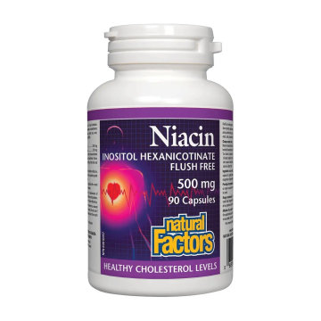 Natural Factors | Vitamin B3 500mg Niacin Flush Free Capsules