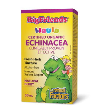 Natural Factors | Big Friends Organic Echinacea No Alcohol Natural Berry Flavour Tincture 50ml