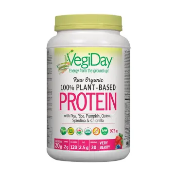 VegiDay | Raw Organic Plant-Based Berry Protein Powder