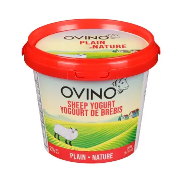 Ovino | Plain Sheep Milk Yogurt