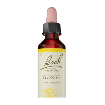Bach Flower Remedies | Gorse