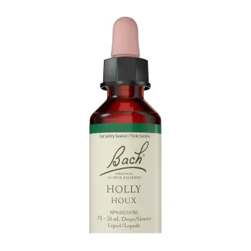 Bach Flower Remedies | Holly