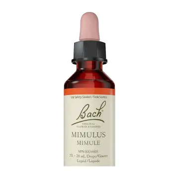 Bach Flower Remedies | Mimulus