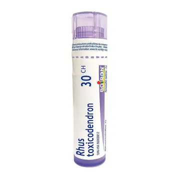 Boiron | Rhus Toxicodendron 30CH Single Tube