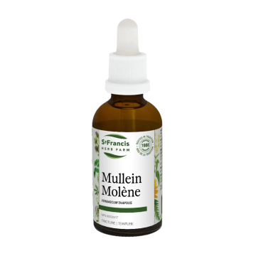 St Francis | Mullein Tincture