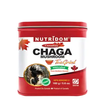 Nutridom | Chaga Mushroom Tea