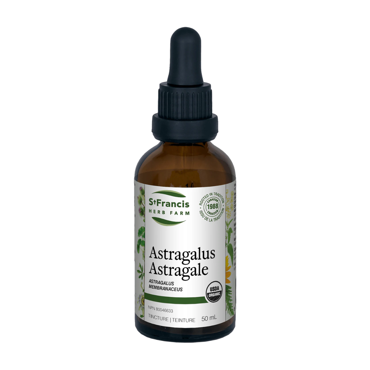 St Francis | Astragalus Tincture