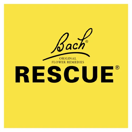 Bach